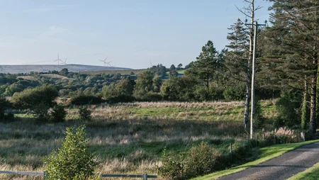 A road next to a green field, trees and wind turbines on the background at Clogheravaddy Substation ABO